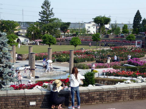 庭園